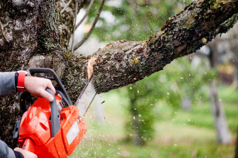 Cherry Tree Removal in Allentown, PA