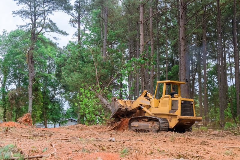 Site Clearing Service in Cumming, GA